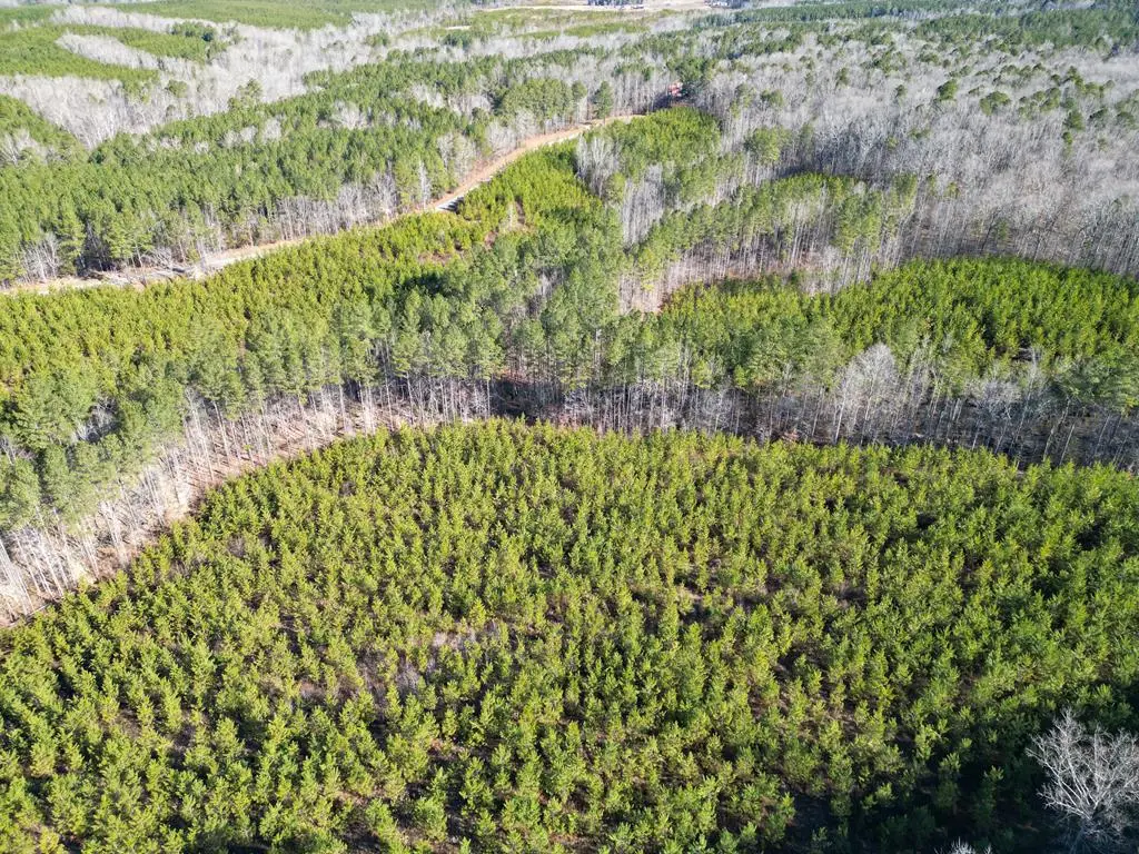 St. Johns Church Road, Kenbridge, VA 23944 - #1