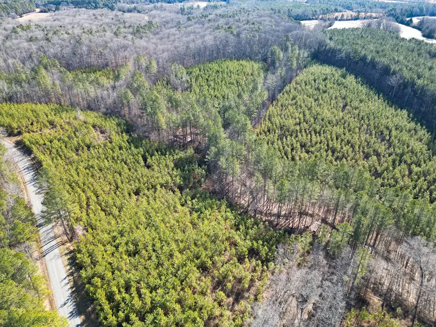 St. Johns Church Road, Kenbridge, VA 23944 - #3