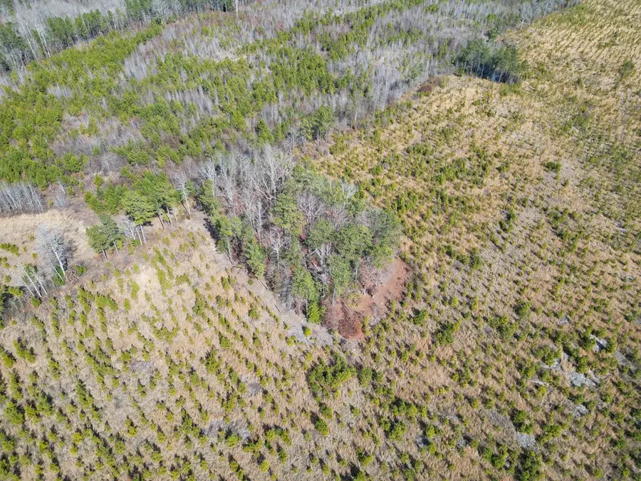 Christanna Highway, Valentines, VA 23887 - #2