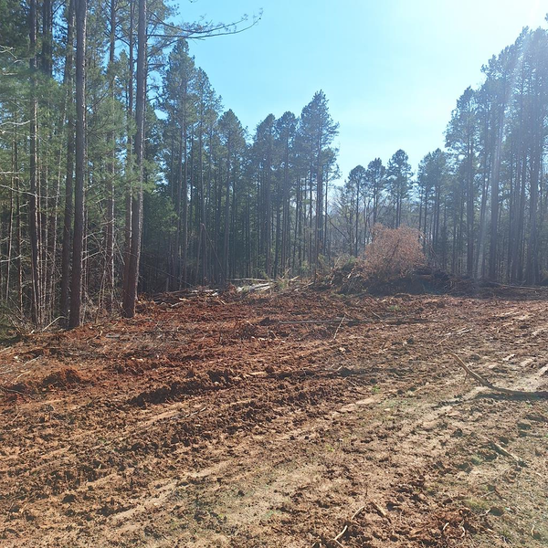 Buffalo Drive, Buffalo Junction, VA 24529