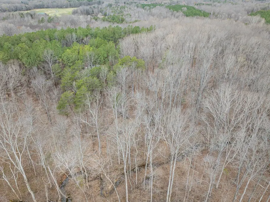 Deer Run Lot 20, Farmville, VA 23901 - #2