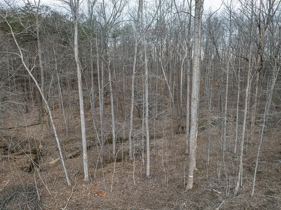 Deer Run Lot 20, Farmville, VA 23901 - #3