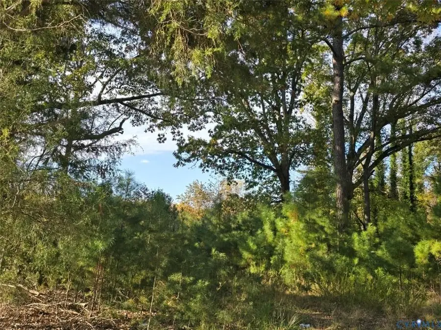 Patrick Henry Hwy, Amelia Court House, VA 23002 - #2