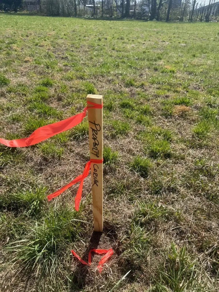 West Carolina Ave, Crewe, VA 23930 - #3