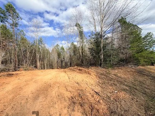 Trinity Church Rd, South Hill, VA 23970 - #1