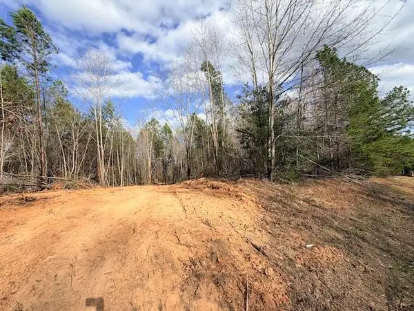 Trinity Church Rd, South Hill, VA 23970