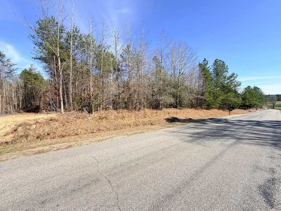 Trinity Church Rd, South Hill, VA 23970 - #3