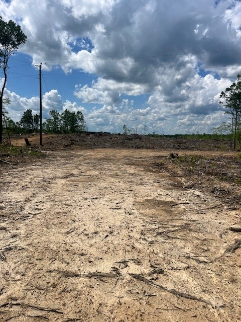 Germantown Road, Keysville, VA 23947 - #2