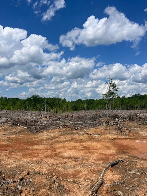 Germantown Road, Keysville, VA 23947