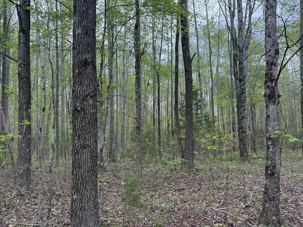 South Constitution, Dillwyn, VA 23936