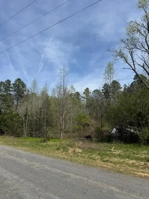 Owl Creek Road, Keysville, VA 23947 - #2