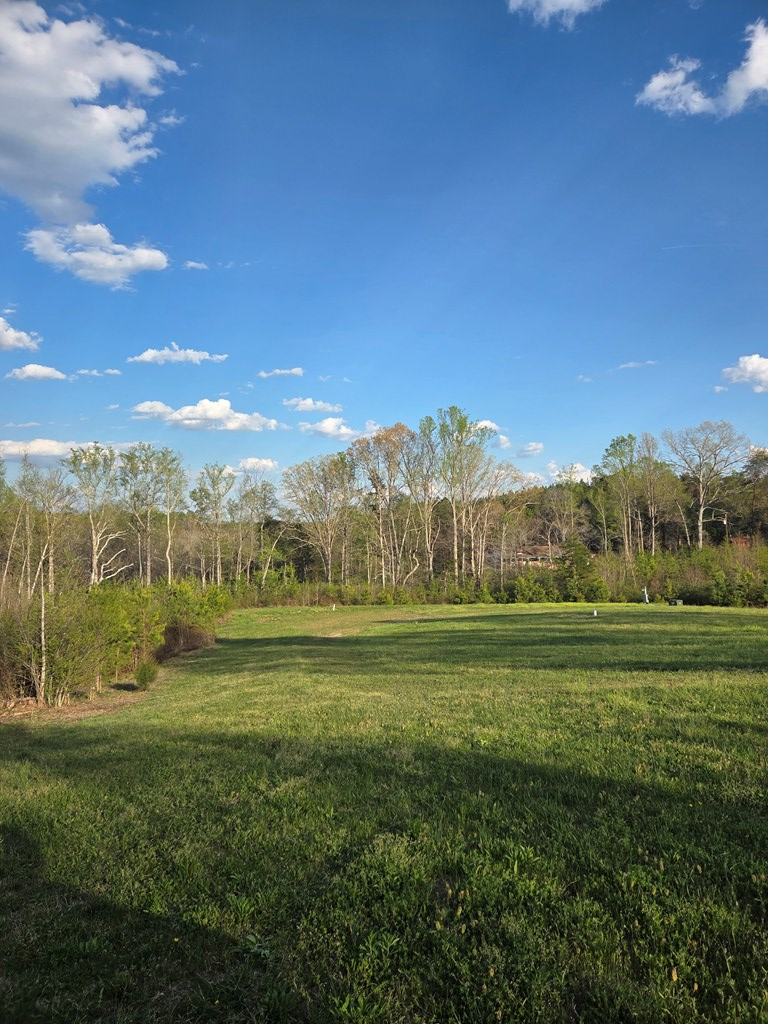 1126 Redhouse Road, Phenix, VA 23959 - #2