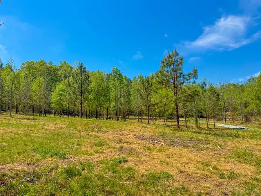 Tyler Road, Crewe, VA 23930 - #3