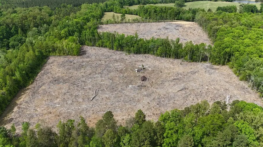 Red Bank Rd, Virgilina, VA 24598 - #3