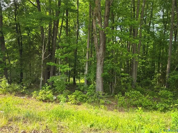 Church St, Blackstone, VA 23824