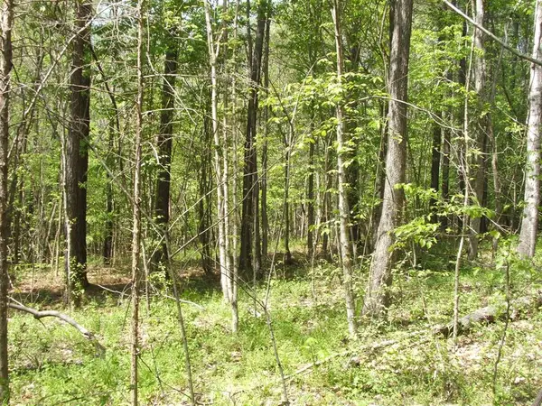 Saxkey Road, Saxe, VA 23967