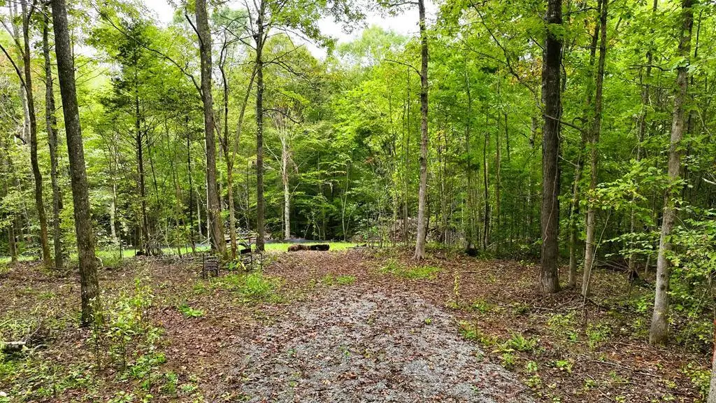 Walkers Lane, Chase City, VA 23924 - #1