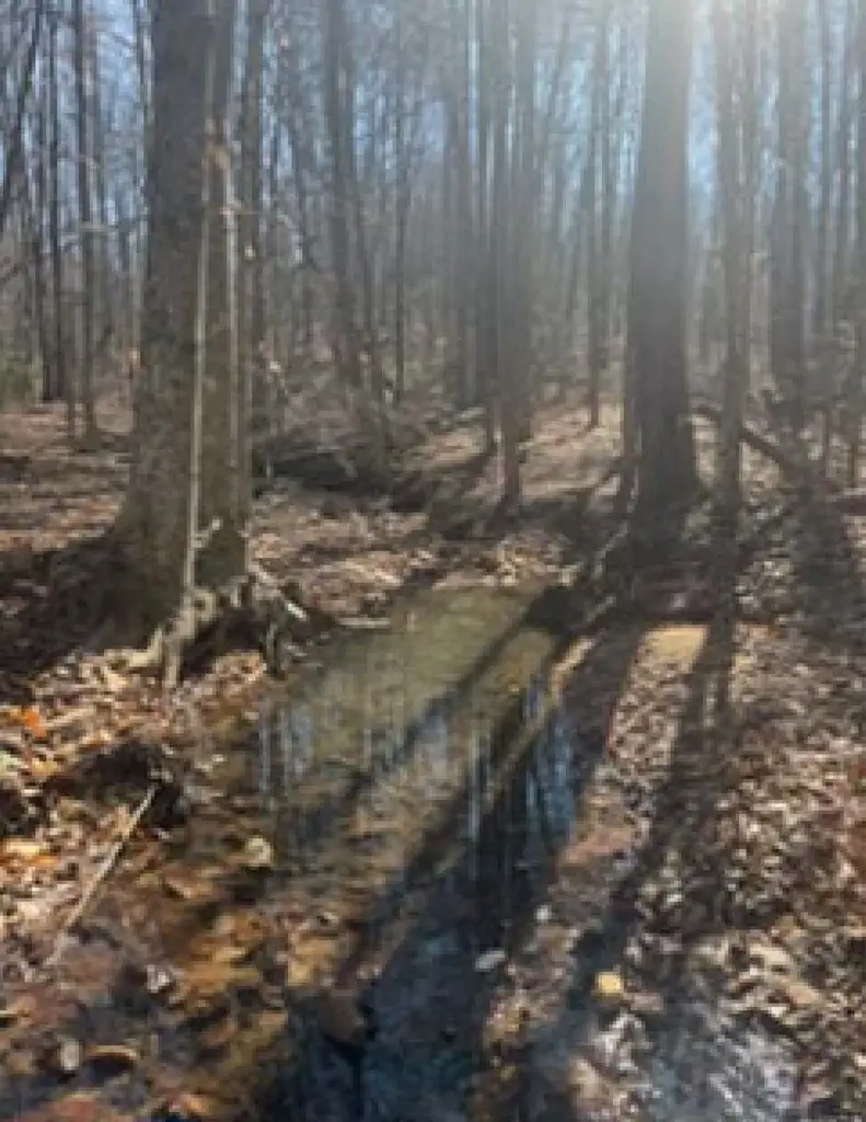 Holiday Lake Road, Pamplin, VA 23958 - #2