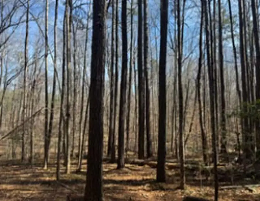 Holiday Lake Road, Pamplin, VA 23958 - #3