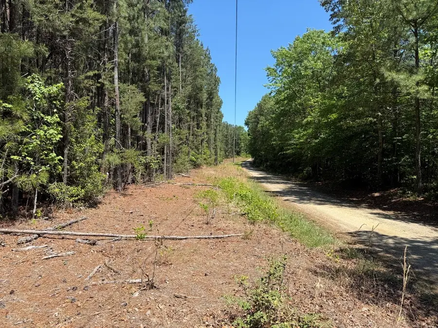 Tbd Flat Iron Road, Washington, VA 22520 - #2