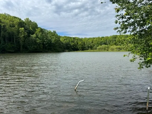 Millbank, Pamplin, VA 23958 - #3
