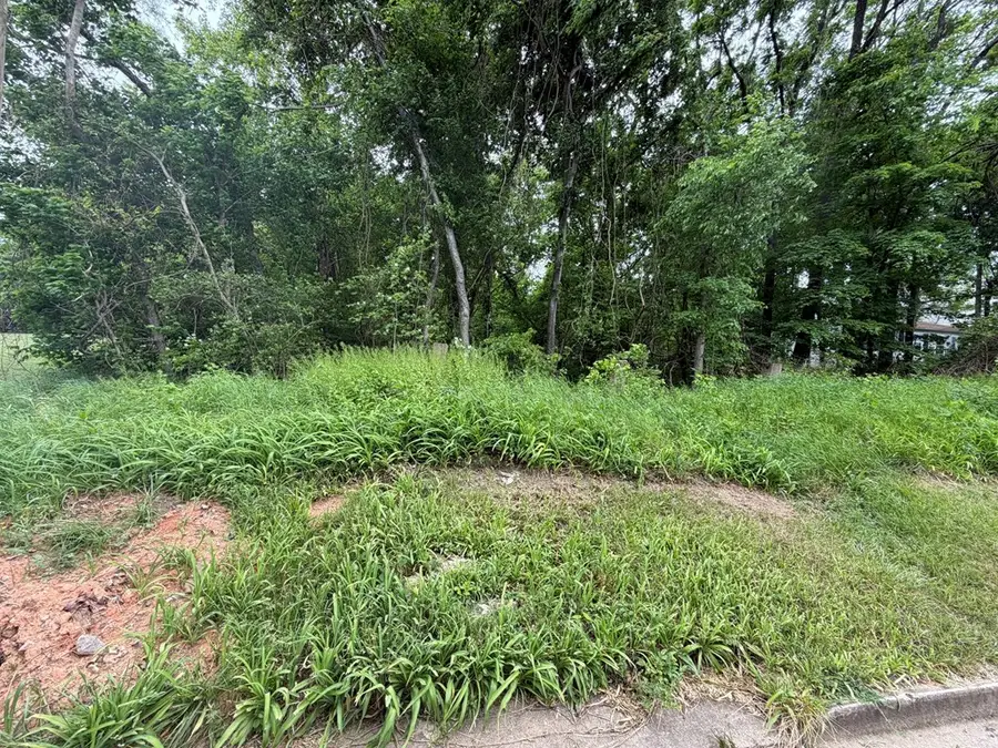 North Virginia Street, Farmville, VA 23901 - #3