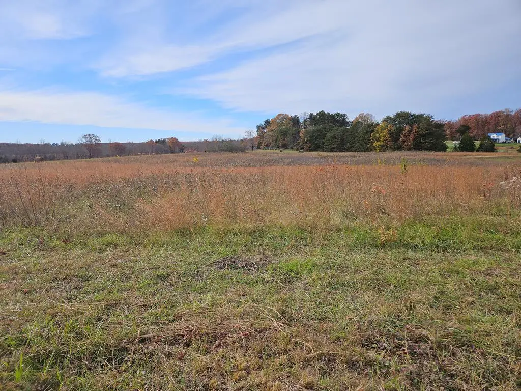 W James Anderson Hwy, Buckingham Courthouse, VA 23921 - #1