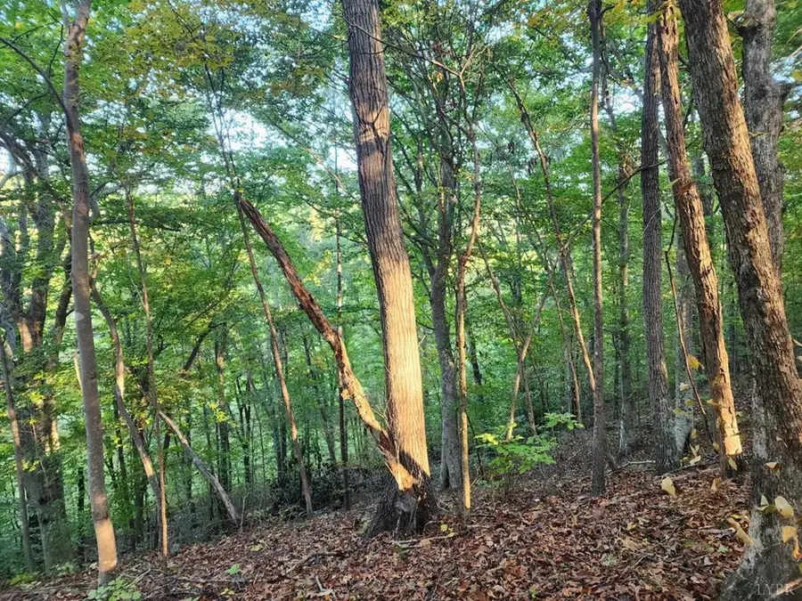 River Bottom Ln, Concord, VA 24538 - #3