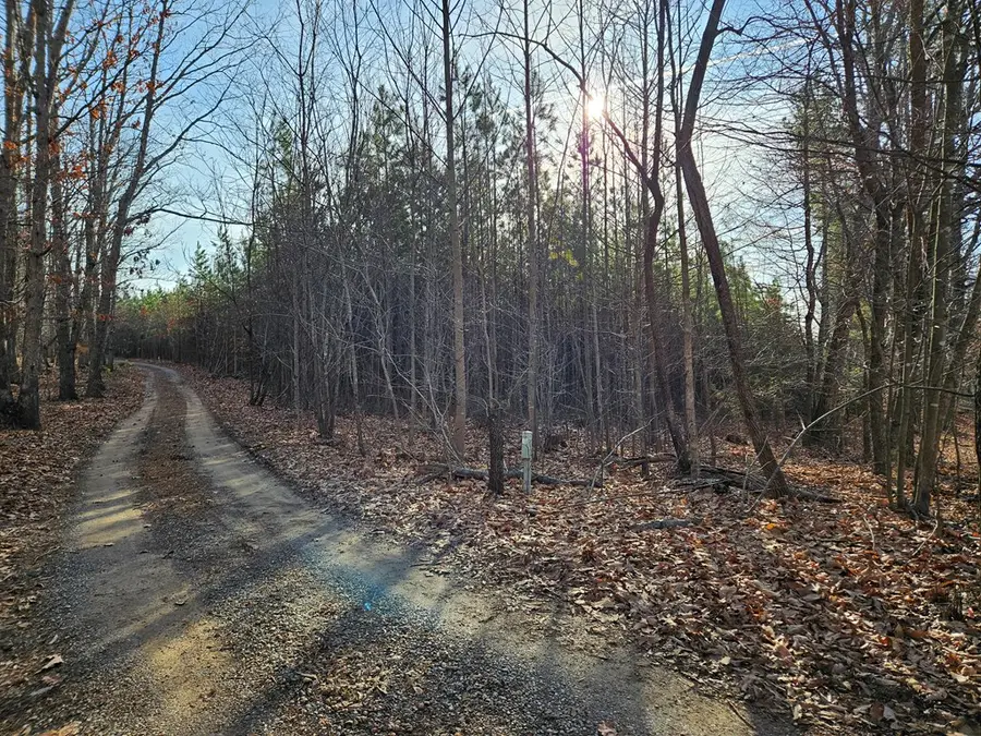 70 Ac Pleasant Mountain Dr, Rustburg, VA 24588 - #2