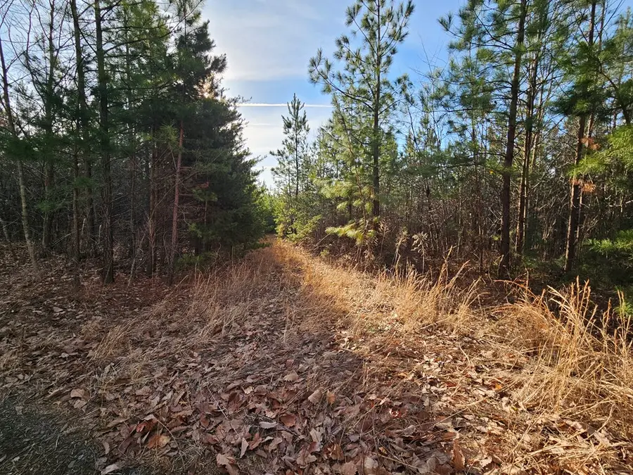 70 Ac Pleasant Mountain Dr, Rustburg, VA 24588 - #3
