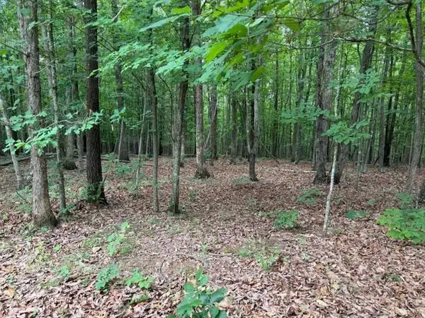 Red Bird Drive, Gladstone, VA 24553