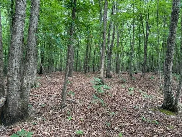 Red Bird Drive, Gladstone, VA 24553 - #2