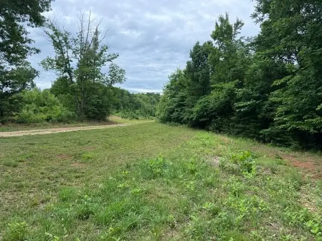 Red Bird Drive, Gladstone, VA 24553 - #3