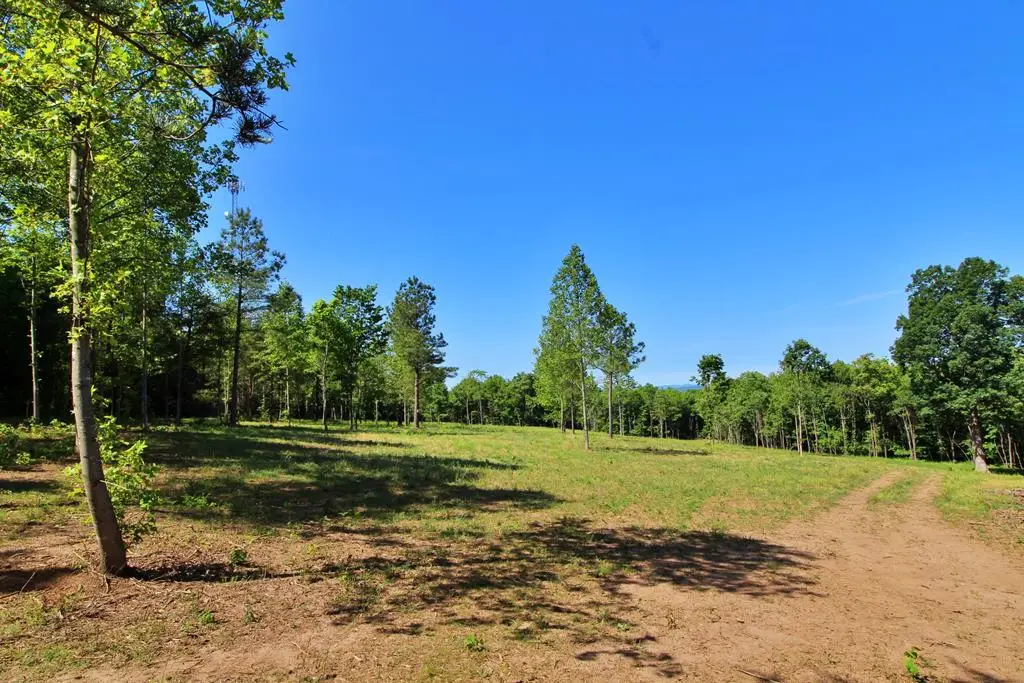 Tower Hill Rd, Appomattox, VA 24522 - #1