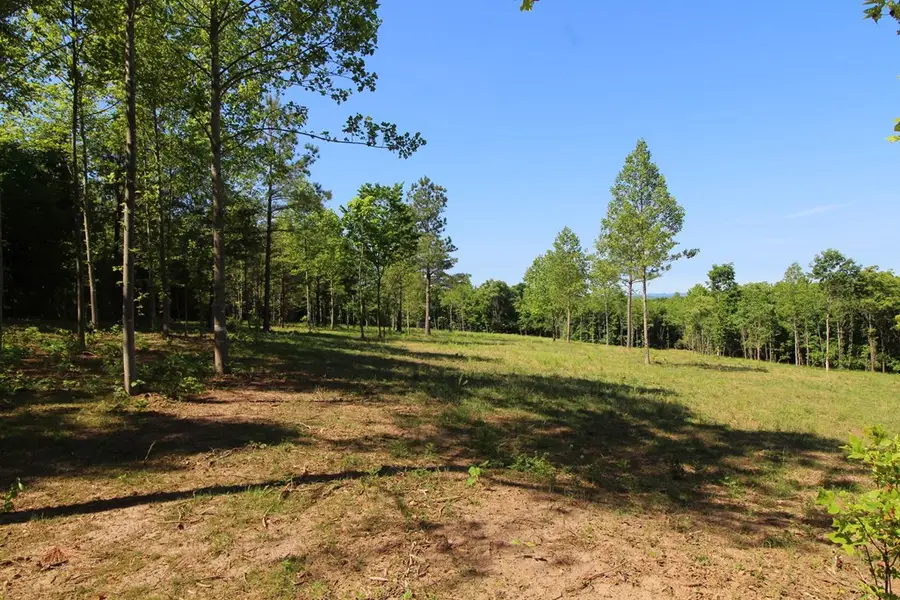 Tower Hill Rd, Appomattox, VA 24522 - #2
