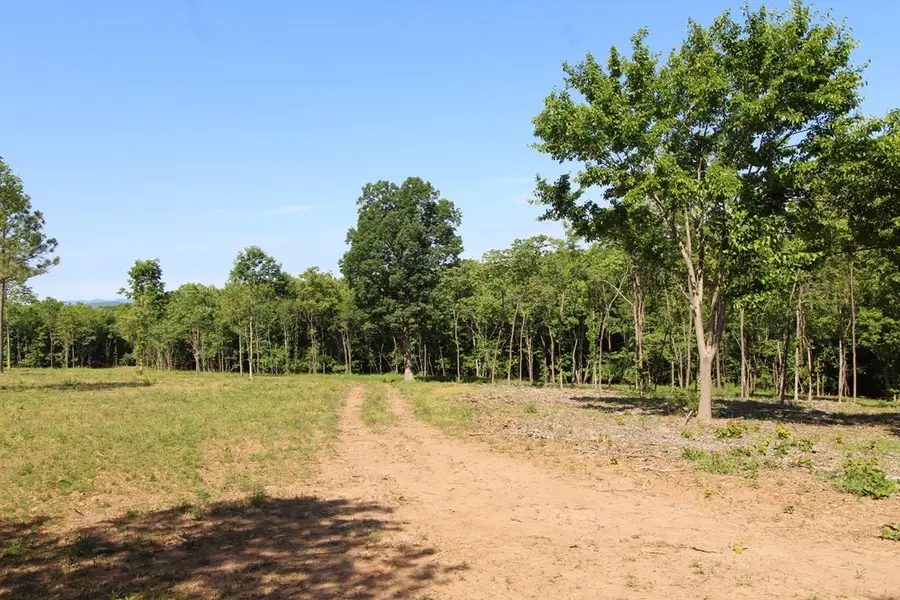 Tower Hill Rd, Appomattox, VA 24522 - #3
