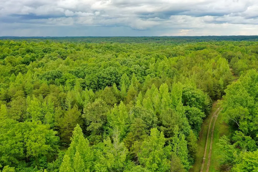 Leda Road, Nathalie, VA 24577 - #1