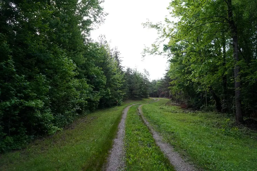 Leda Road, Nathalie, VA 24577 - #3