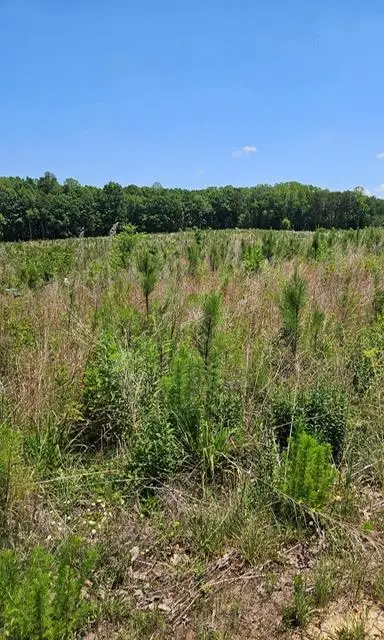 Old Mansion Road, Lunenburg, VA 23952 - #1