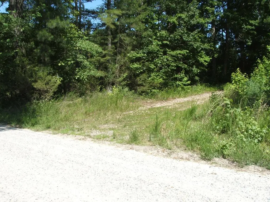 Mountain Creek Road, Green Bay, VA 23942 - #1