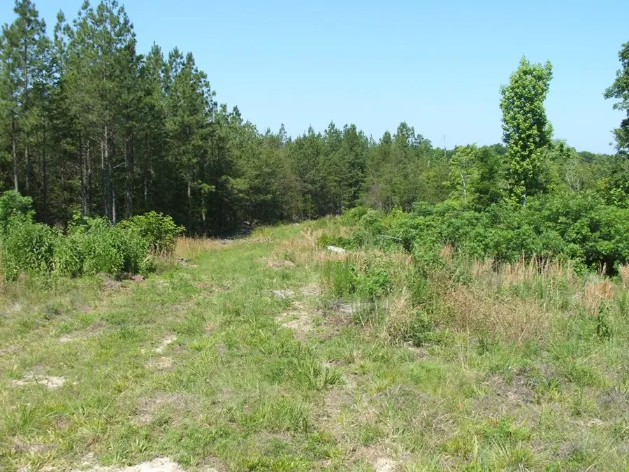 Mountain Creek Road, Green Bay, VA 23942 - #3