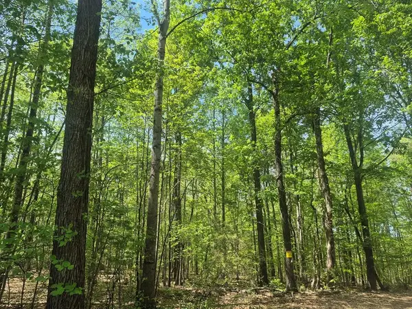 Deer Run, Farmville, VA 23901