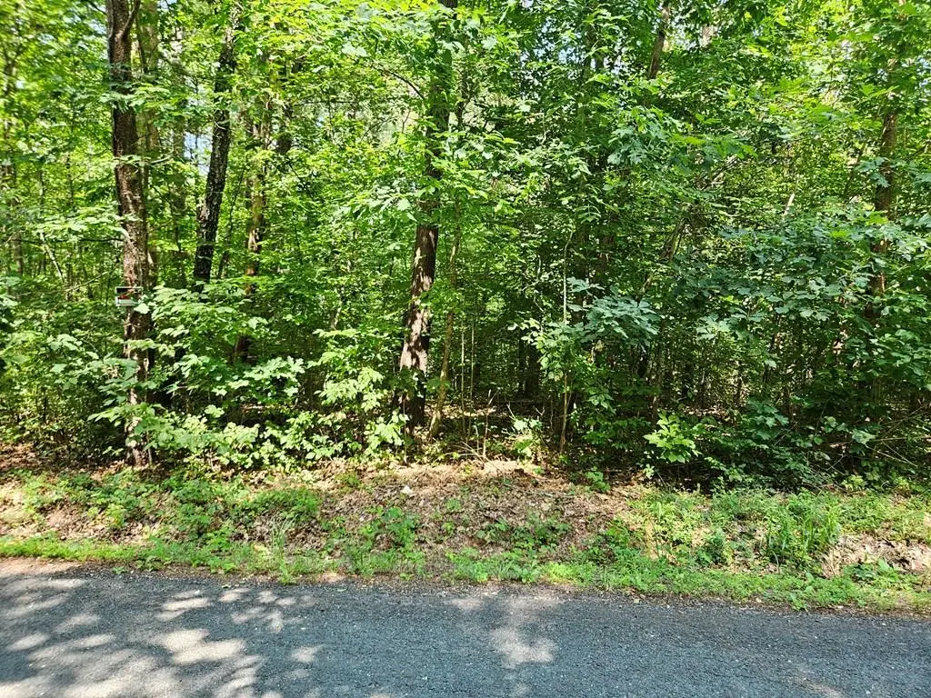 9 Ac Childress, Dillwyn, VA 23936 - #1