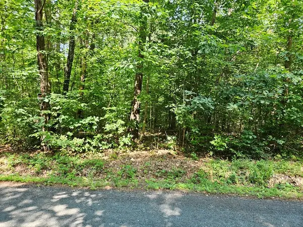9 Ac Childress, Dillwyn, VA 23936