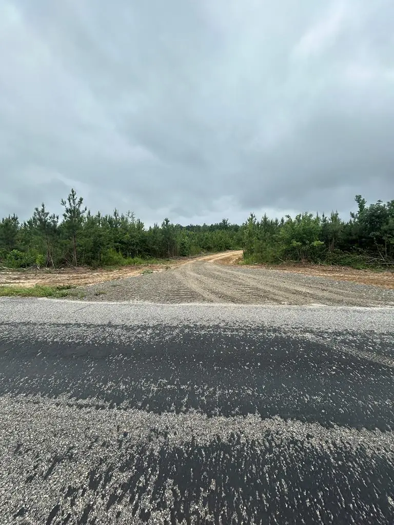 Kings Road, Green Bay, VA 23942 - #1