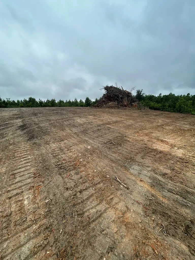 Kings Road, Green Bay, VA 23942 - #2