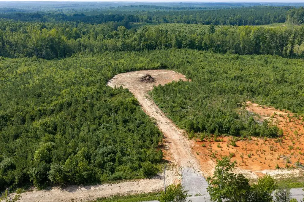 Kings Road, Green Bay, VA 23942 - #1