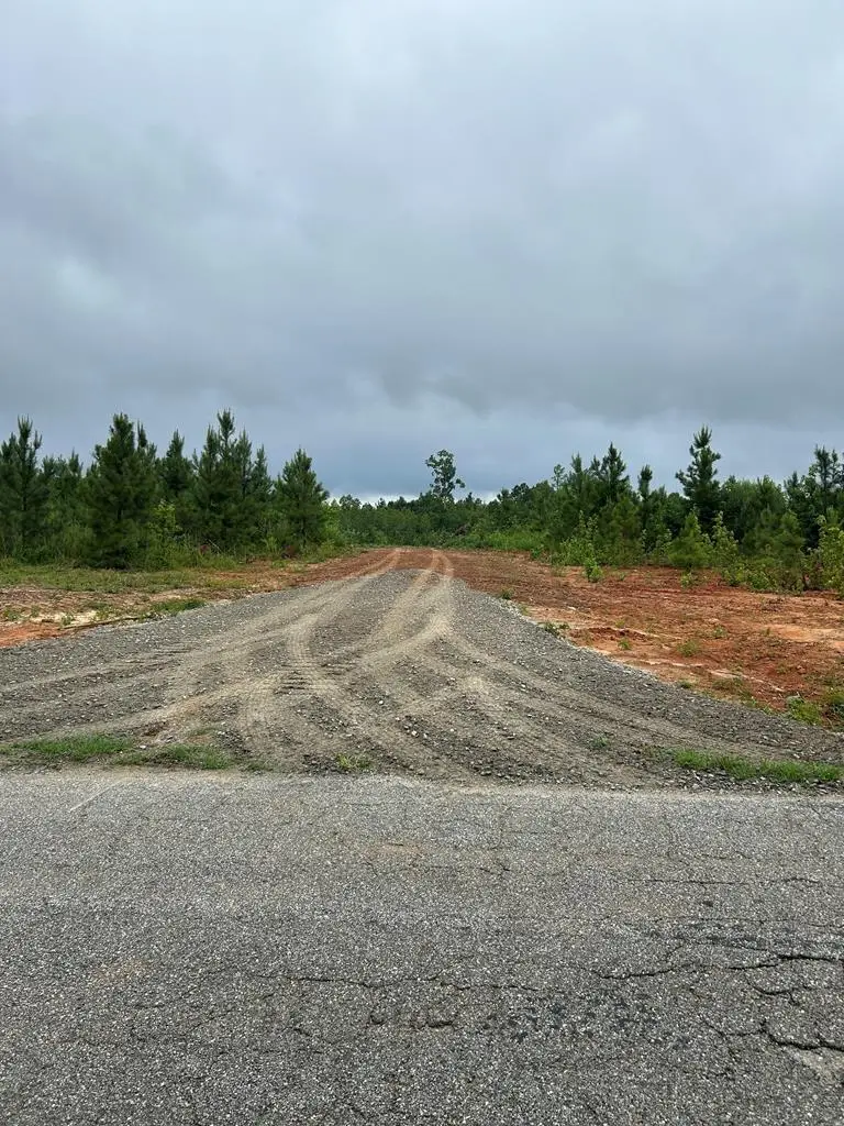 Kings Road, Green Bay, VA 23942 - #2
