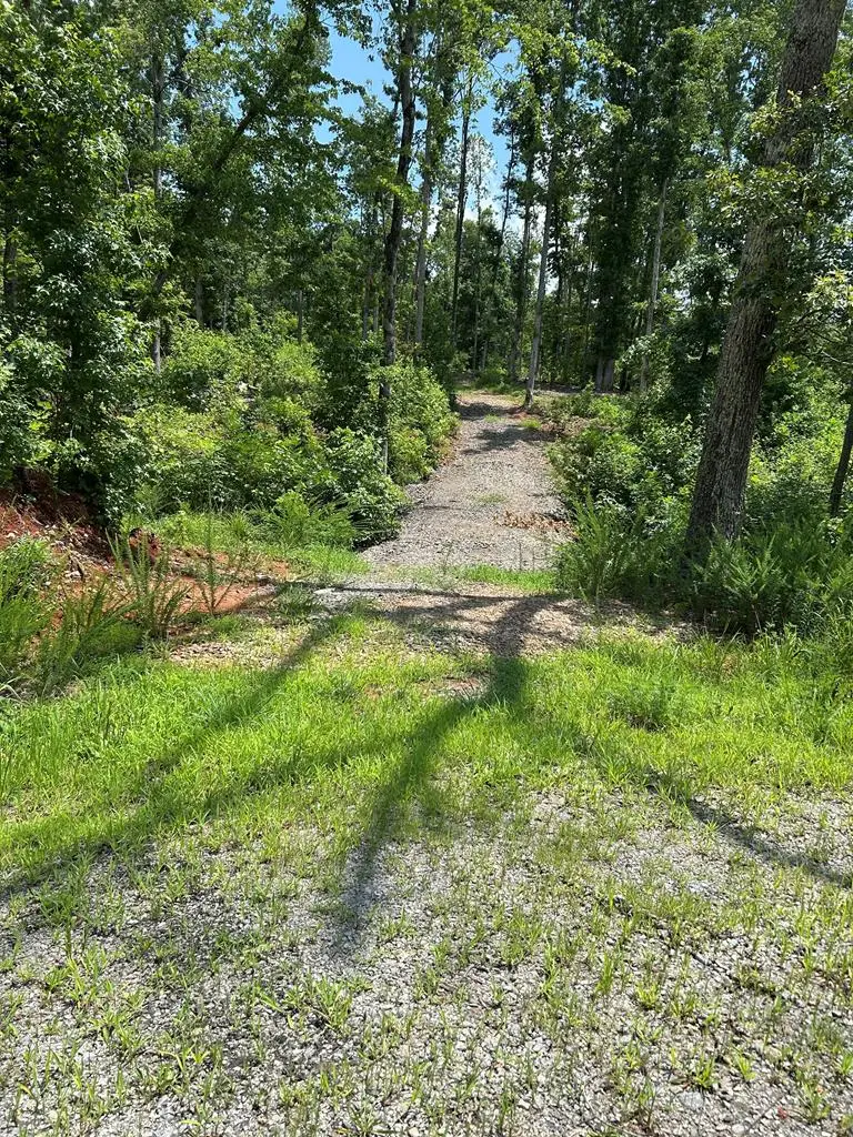 Patrick Henry Hwy, Meherrin, VA 23954 - #1