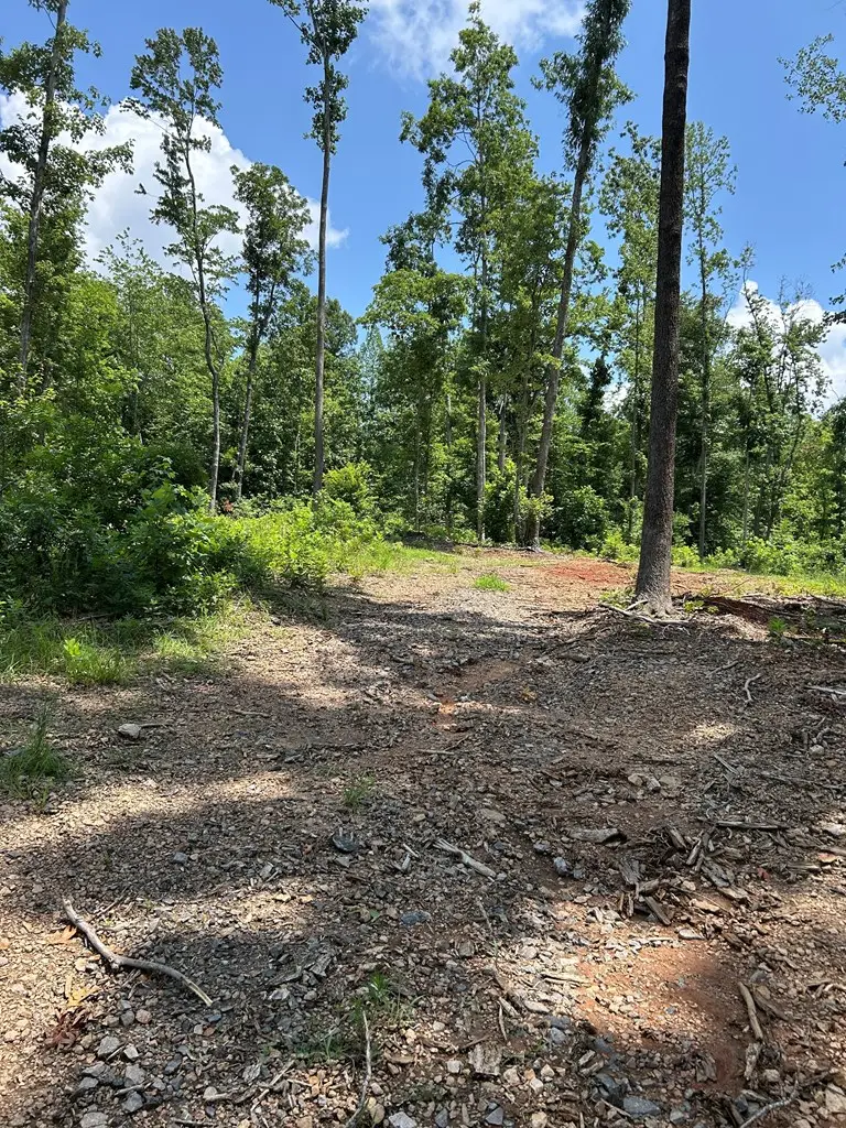 Patrick Henry Hwy, Meherrin, VA 23954 - #2